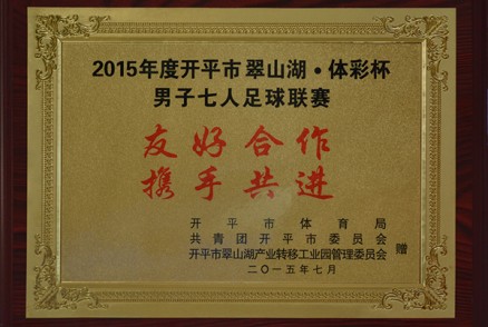2015年度开平市翠山湖体彩杯男子七人足球联赛 牌匾